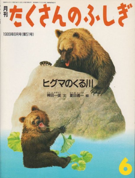 画像1: ヒグマのくる川（たくさんのふしぎ51号）【状態C】2 希少本 (1)