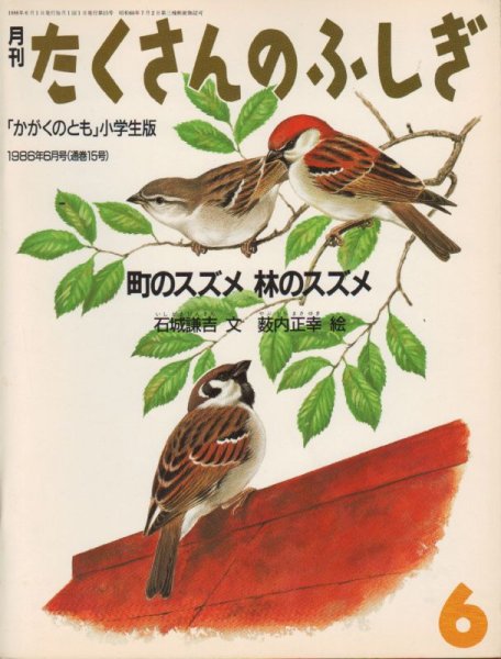 画像1: 町のスズメ林のスズメ（たくさんのふしぎ15号）【状態C】希少本 (1)