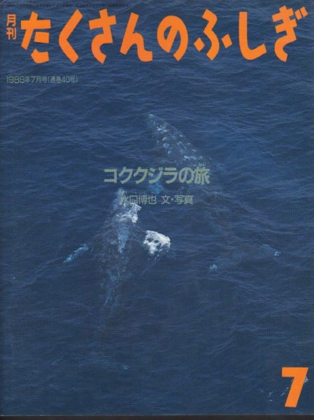 画像1: コククジラの旅（たくさんのふしぎ40号）【状態C】希少本 (1)