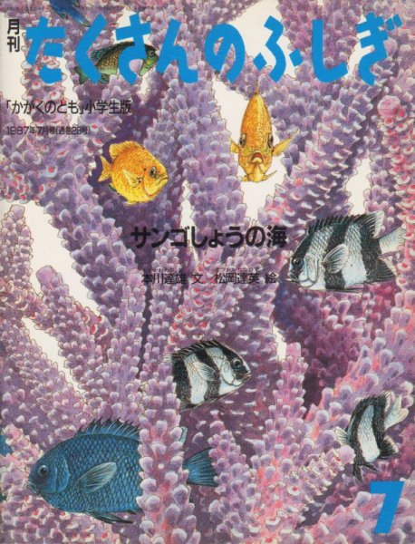 画像1: サンゴしょうの海（たくさんのふしぎ28号）【状態C】希少本 (1)