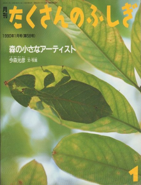 画像1: 森の小さなアーティスト（たくさんのふしぎ58号）【状態A】希少本 (1)