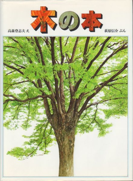 画像1: 木の本【状態B】 (1)