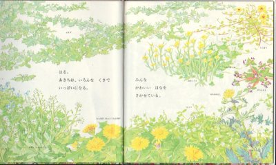 画像1: ざっそう【バーゲンブック】