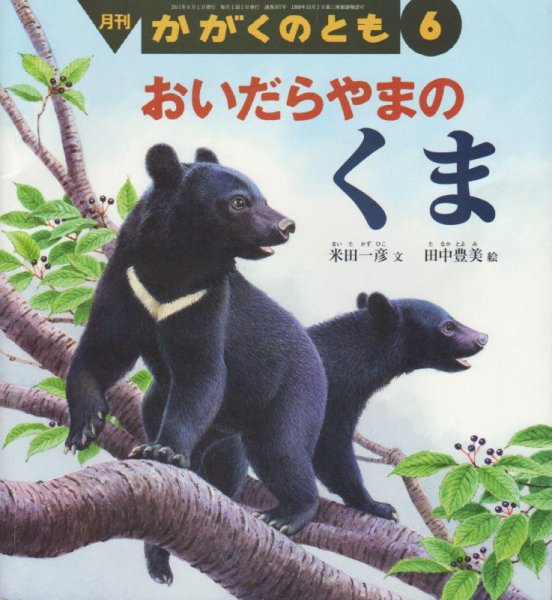 画像1: おいだらやまのくま（かがくのとも507号）【状態C】 (1)