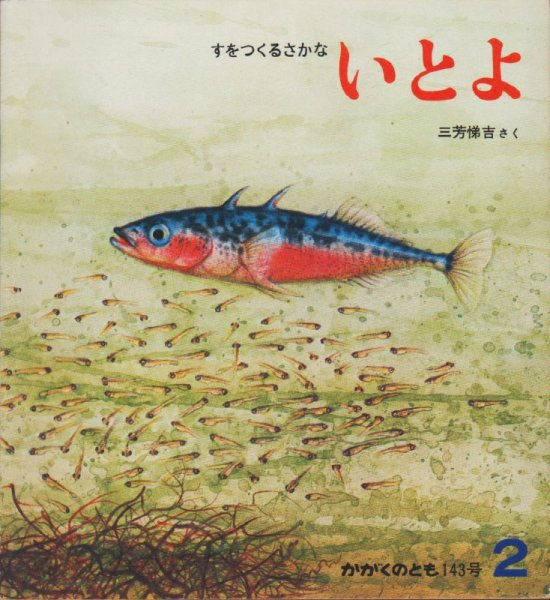 画像1: いとよ　すをつくるさかな（かがくのとも143号）【状態C】2希少本 (1)