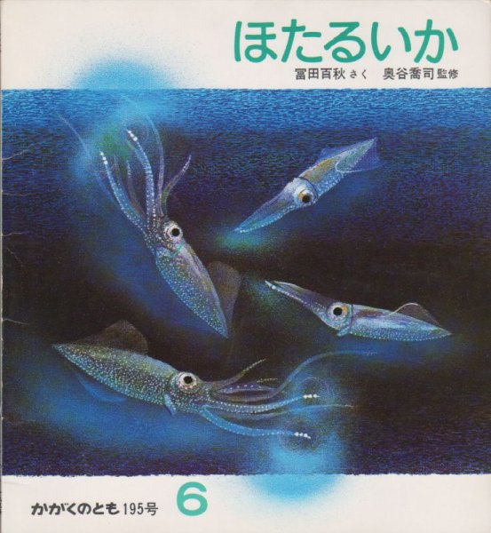 画像1: ほたるいか（かがくのとも195号）【状態C】2希少本 (1)