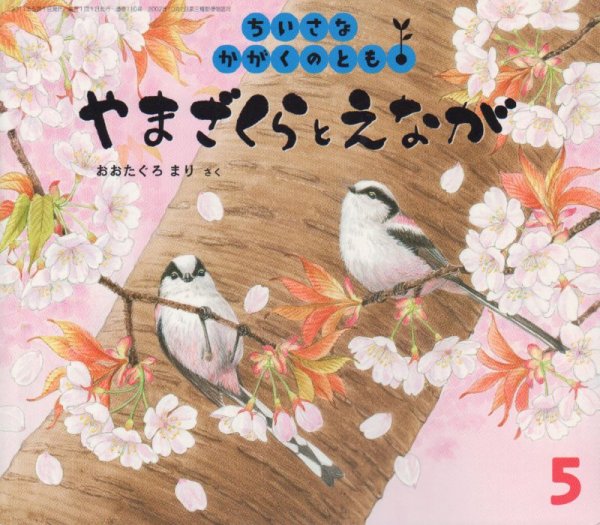 画像1: やまざくらとえなが（ちいさなかがくのとも110号）【状態B】 (1)