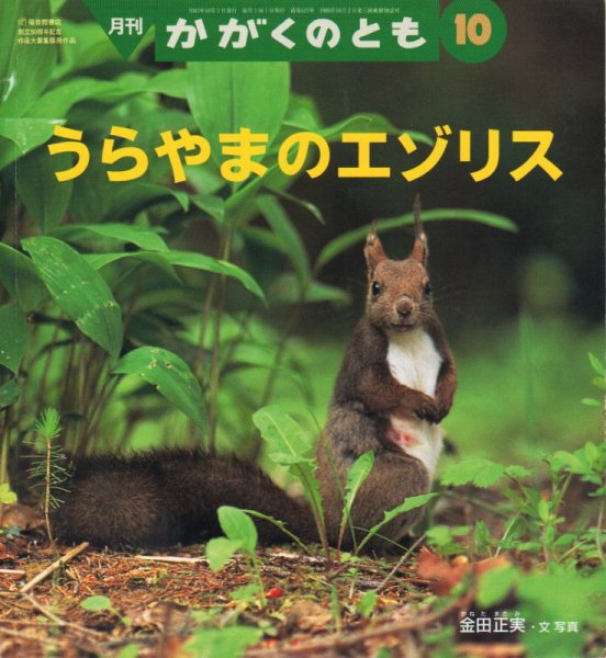 画像1: うらやまのエゾリス（かがくのとも415号）【状態B】 (1)