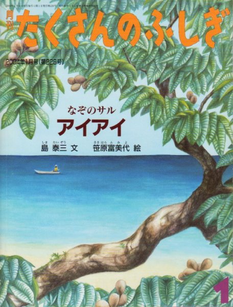 画像1: なぞのサル　アイアイ（たくさんのふしぎ226号）【状態C】2 (1)