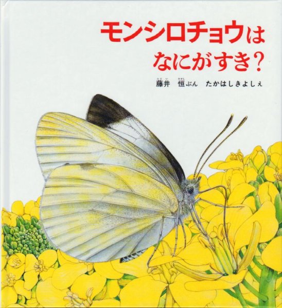 画像1: モンシロチョウはなにがすき？【状態C】 (1)