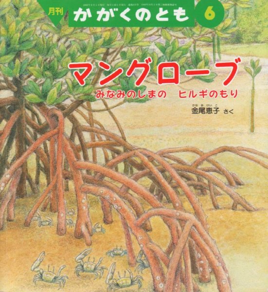 画像1: マングローブ　みなみのしまの　ヒルギのもり（かがくのとも435号）【状態Ｂ】 (1)