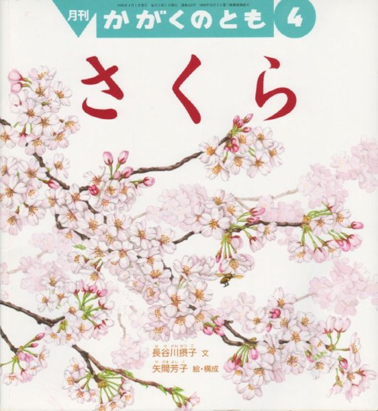 画像1: さくら（かがくのとも433号）【状態B】 (1)