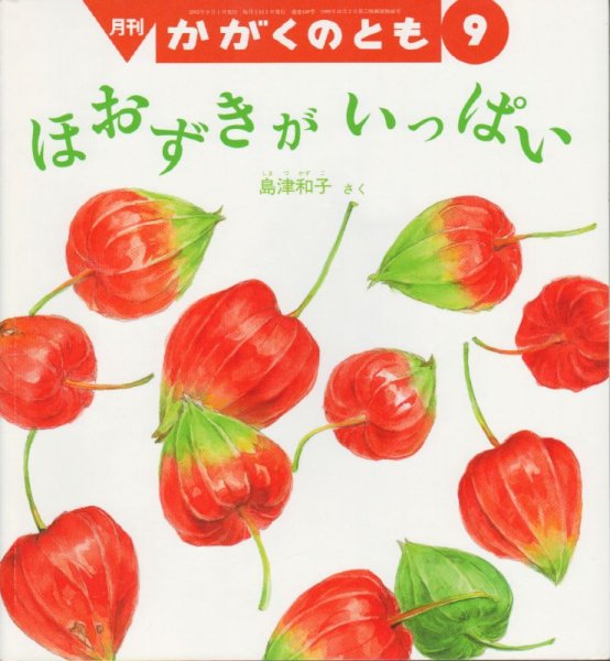 画像1: ほおずきが　いっぱい（かがくのとも438号）【状態C】 (1)