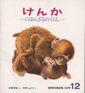 けんかーにほんざるのくらし（かがくのとも165号）【状態B】2