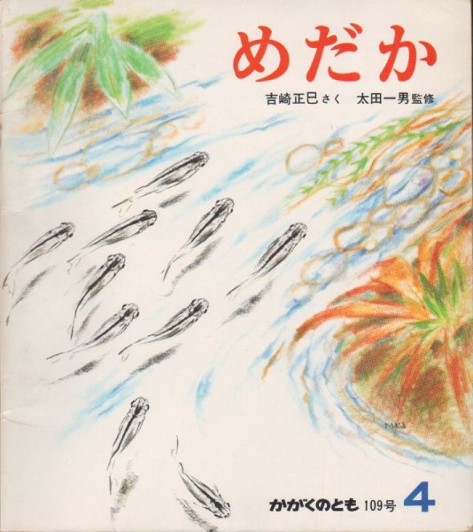 画像1: めだか（かがくのとも109号）【状態B】希少本 (1)