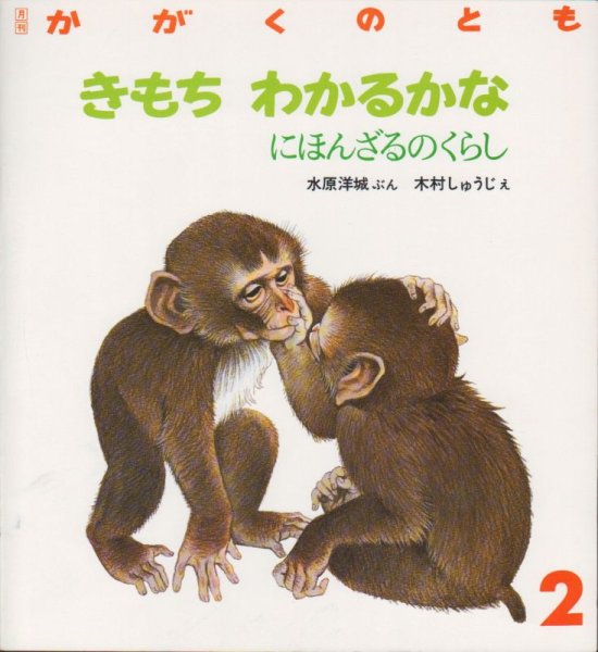 画像1: きもちわかるかな-にほんざるのくらし（かがくのとも227号）【状態C】希少本 (1)