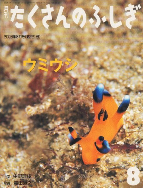 画像1: ウミウシ（たくさんのふしぎ221号）【状態C】 (1)