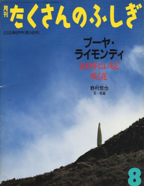 画像1: プーヤ・ライモンディ　100年にいちど咲く花（たくさんのふしぎ245号）【状態B】 (1)
