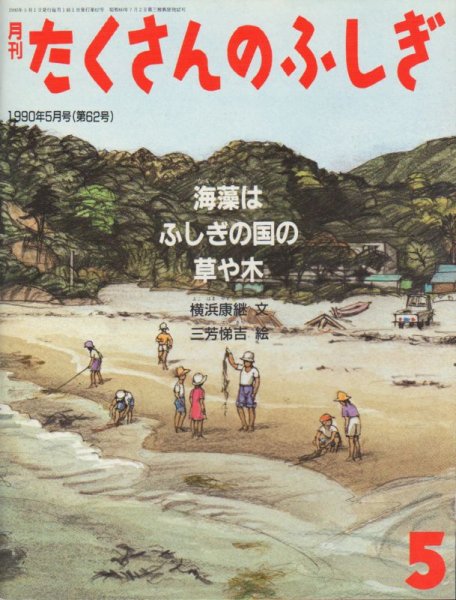 画像1: 海藻はふしぎの国の草や木（たくさんのふしぎ62号）【状態A】2　希少本 (1)