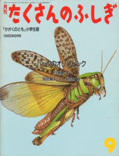 初版本　ぼくはバッタ　1982年　くりばやしきくお 絵本『ぼくは おこった』の内容紹介（あらすじ・受賞歴