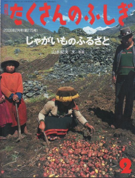 画像1: じゃがいものふるさと（たくさんのふしぎ275号）【状態A】 (1)