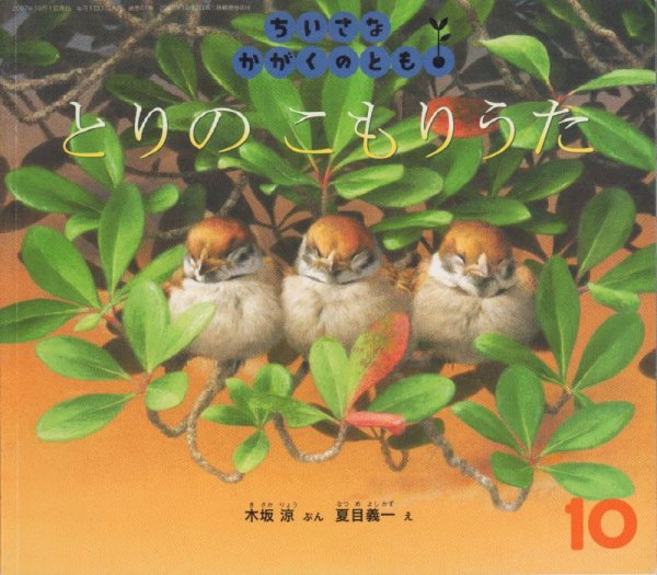 画像1: とりのこもりうた（ちいさなかがくのとも67号）【状態B】 (1)
