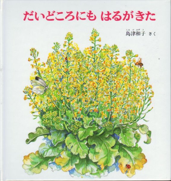 画像1: だいどころにもはるがきた【状態B】 (1)