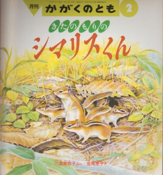 画像1: きたのもりのシマリスくん（かがくのとも275号）【状態B】希少本 (1)