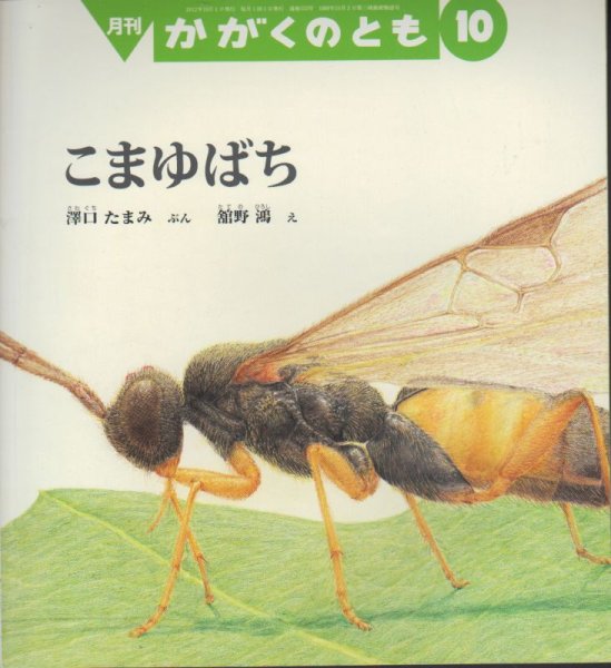 画像1: こまゆばち（かがくのとも523号）【状態C】 (1)
