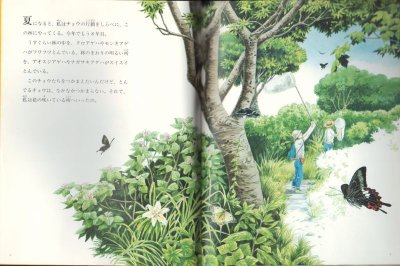 画像1: 花がえらぶ 虫がえらぶ（たくさんのふしぎ65号）【状態B】希少本