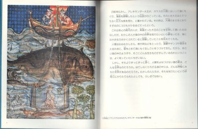 画像1: 海はもうひとつの宇宙（たくさんのふしぎ125号）【状態A】希少本