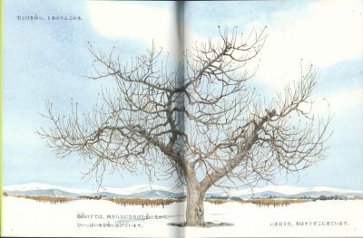画像1: きになる　みがなる（たくさんのふしぎ115号）【状態A】２希少本