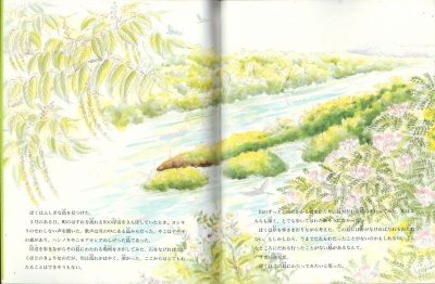 画像1: ぼくの島（たくさんのふしぎ138号）【状態A】