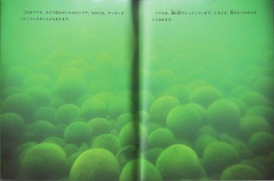 画像1: まるいはマリモ（たくさんのふしぎ134号）【状態B】