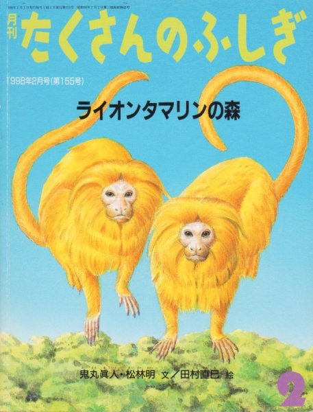 画像1: ライオンタマリンの森（たくさんのふしぎ155号）【状態 A】 (1)