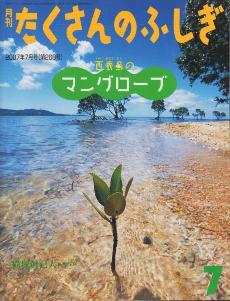 画像1: 西表島のマングローブ（たくさんのふしぎ268号）【状態A】 (1)