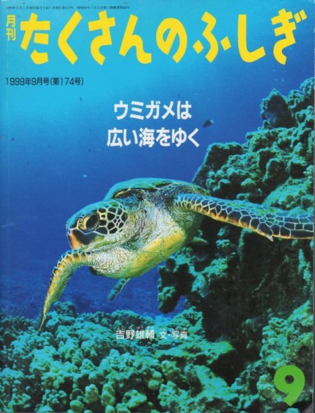 画像1: ウミガメは広い海をゆく（たくさんのふしぎ174号）【状態B 】 (1)