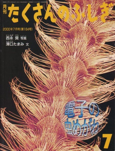 画像1: 電子の虫めがね（たくさんのふしぎ184号）【状態A】 (1)