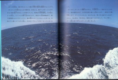 画像1: ウミガメは広い海をゆく（たくさんのふしぎ174号）【状態B 】