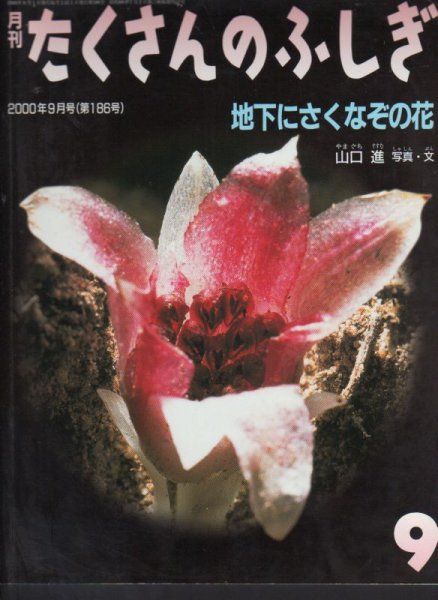 画像1: 地下にさくなぞの花（たくさんのふしぎ186号）【状態B】 (1)