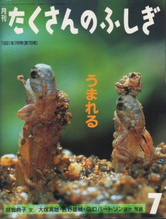 夢ってなんだろう（たくさんのふしぎ11号）【状態B】希少本