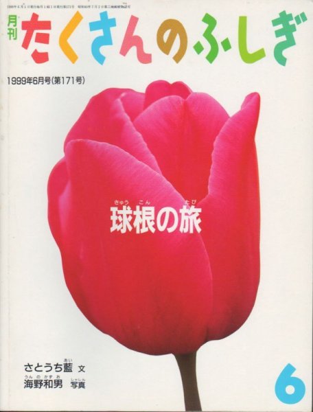 画像1: 球根の旅（たくさんのふしぎ171号）【状態A】 (1)