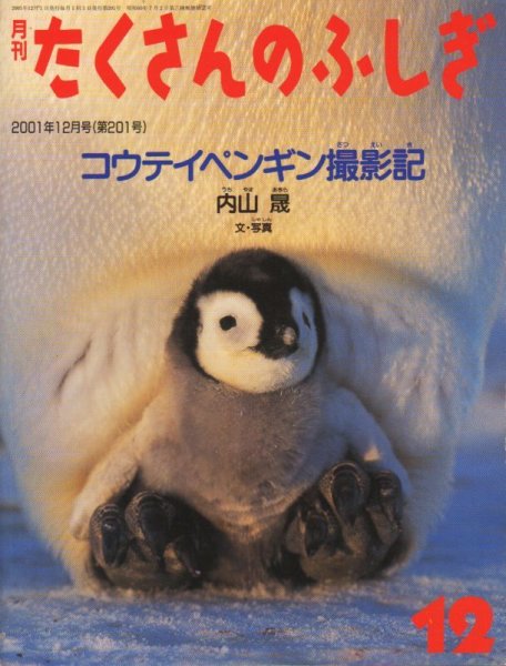 画像1: コウテイペンギン撮影記（たくさんのふしぎ201号）【状態A】 (1)
