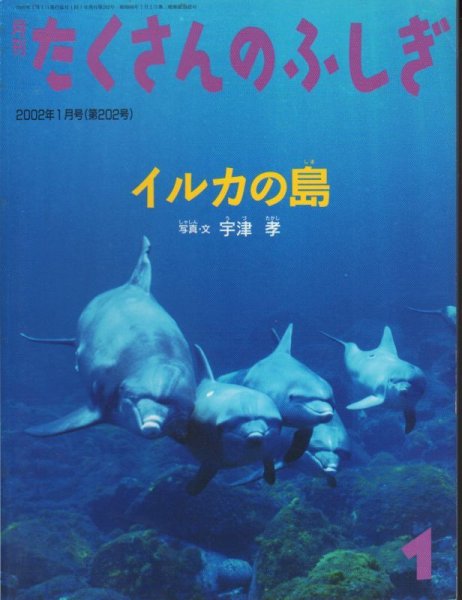 画像1: イルカの島（たくさんのふしぎ202号）【状態B】 (1)