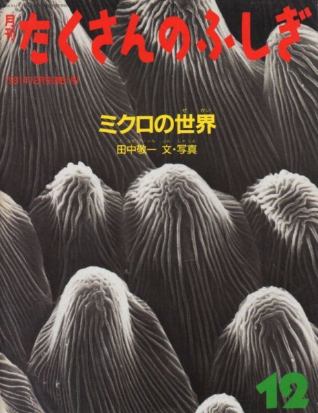 画像1: ミクロの世界（たくさんのふしぎ81号）【状態B】希少本 (1)