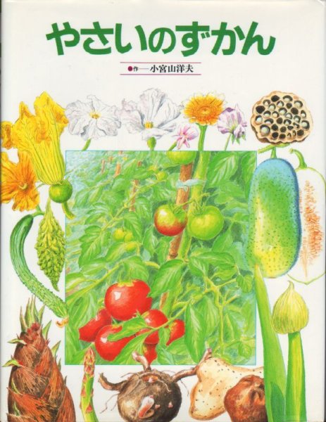 画像1: やさいのずかん【状態C】 (1)