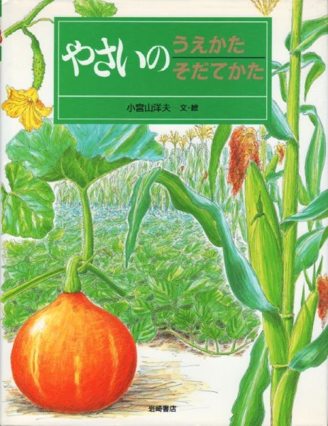 画像1: やさいのうえかたそだてかた【状態Ａ】 (1)