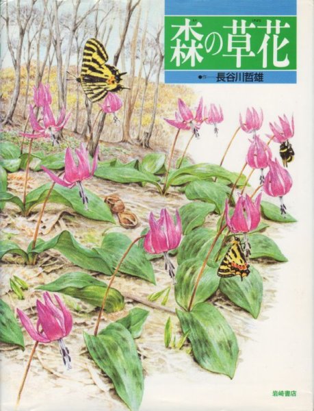 画像1: 森の草花【バーゲンブック】 (1)