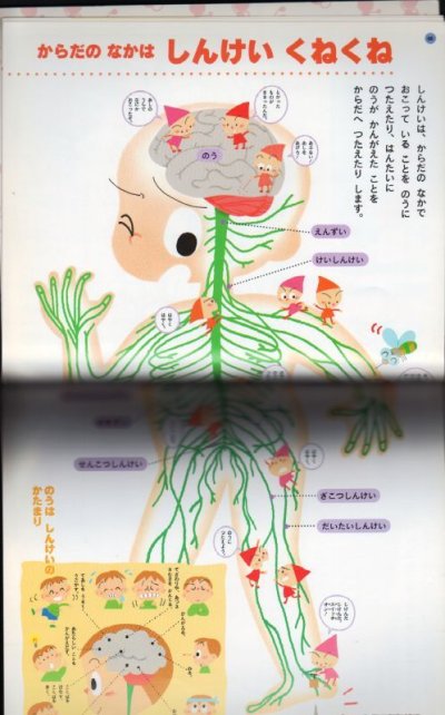 画像1: あそびのおうさまずかん からだ 【バーゲンブック】
