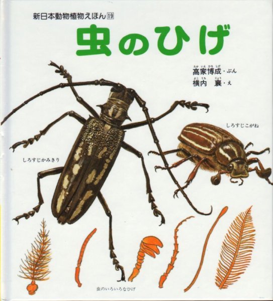 画像1: 虫のひげ (新日本動物植物えほん 19)【状態C】 (1)